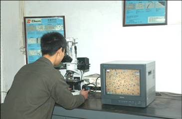 金相显微镜