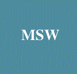 新乡市美斯威精密机器有限公司 Logo